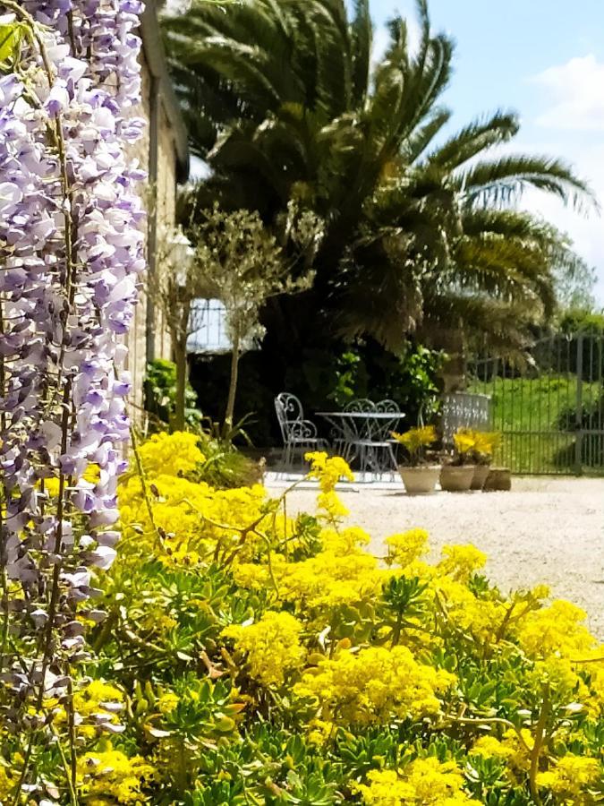 Gite La Bourgetterie Fontenay Sur Mer Экстерьер фото